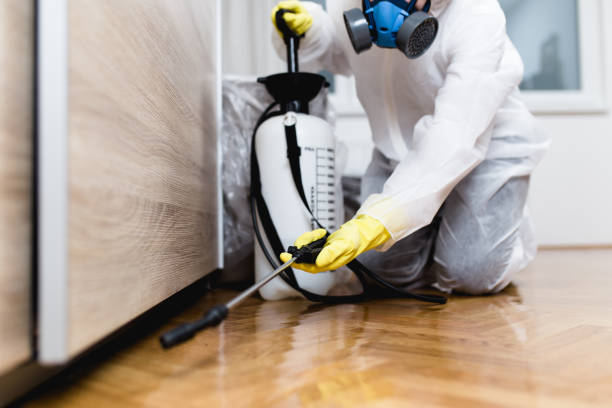 Best Residential Pest Control  in Garyville, LA