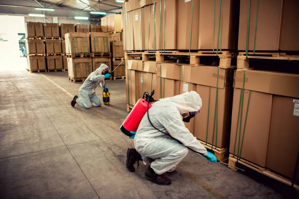 Flea Control Services in Garyville, LA