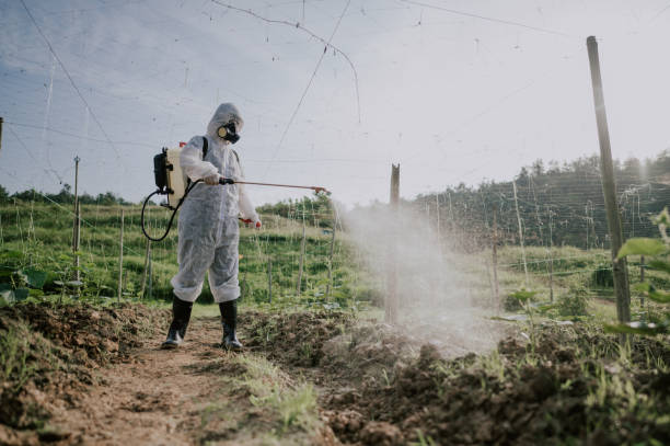Best Commercial Pest Control Services  in Garyville, LA