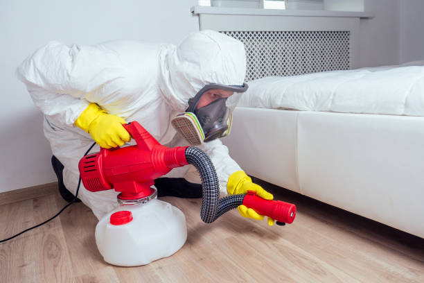 Best Local Pest Control Services  in Garyville, LA