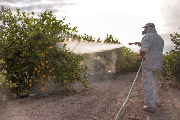 Wasp Removal Services in Garyville, LA