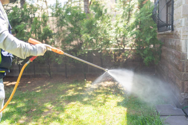 Spider Control Near Me in Garyville, LA