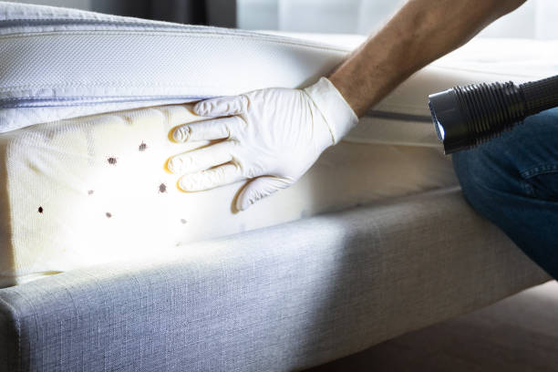 Best Termite Control Services  in Garyville, LA