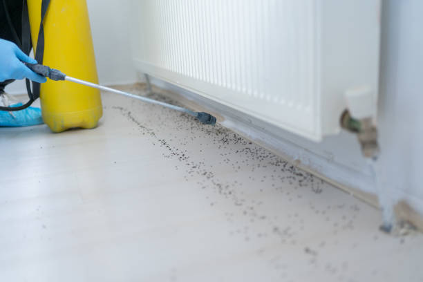 Best Cockroach Control Services  in Garyville, LA